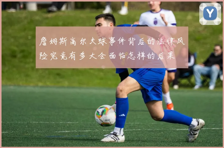詹姆斯高尔夫球事件背后的法律风险究竟有多大会面临怎样的后果