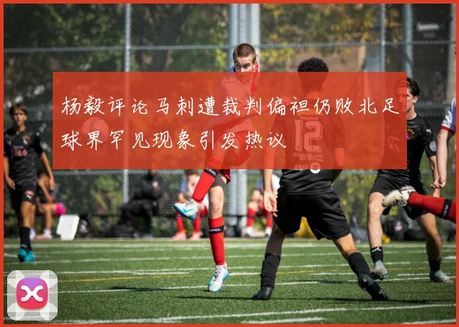 杨毅评论马刺遭裁判偏袒仍败北足球界罕见现象引发热议