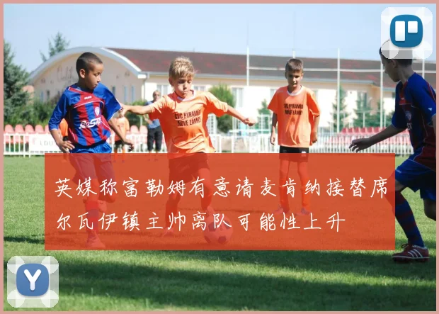 英媒称富勒姆有意请麦肯纳接替席尔瓦伊镇主帅离队可能性上升